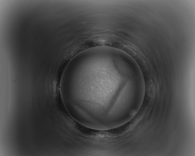 X0000088370420200705291331