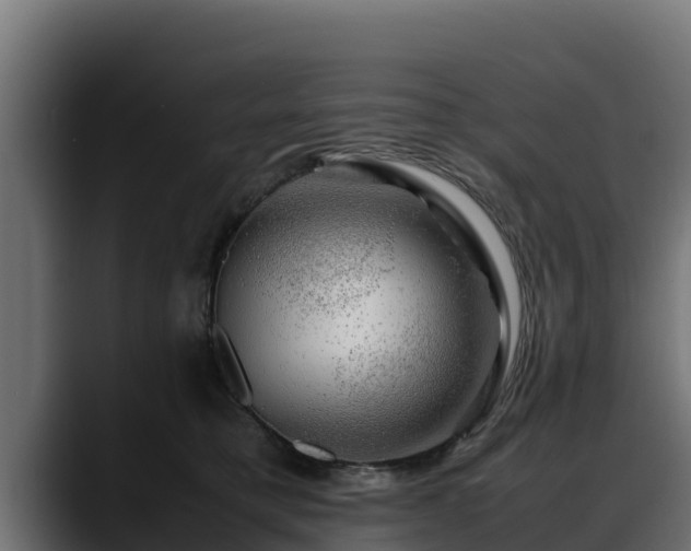 X0000088370421200705291331