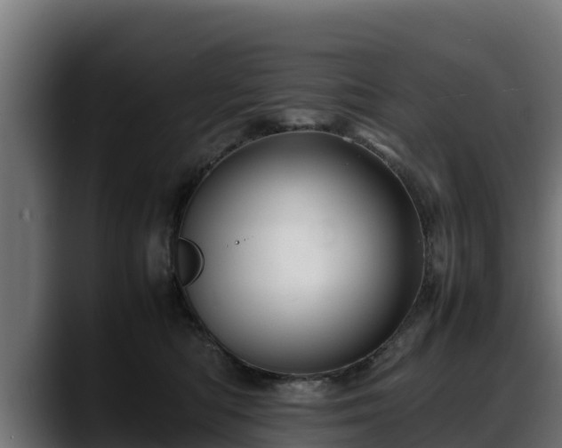 X0000088370422200705291331