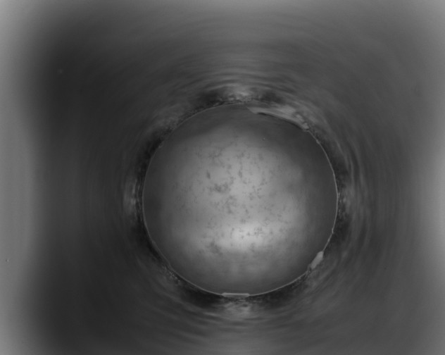 X0000088370423200705291331