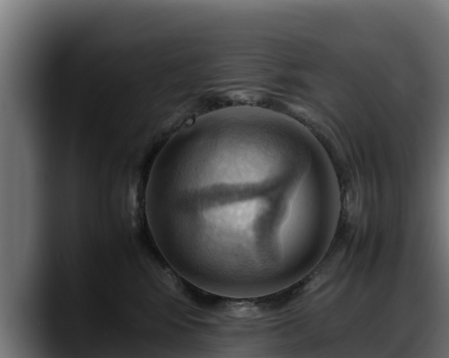 X0000088370424200705291331