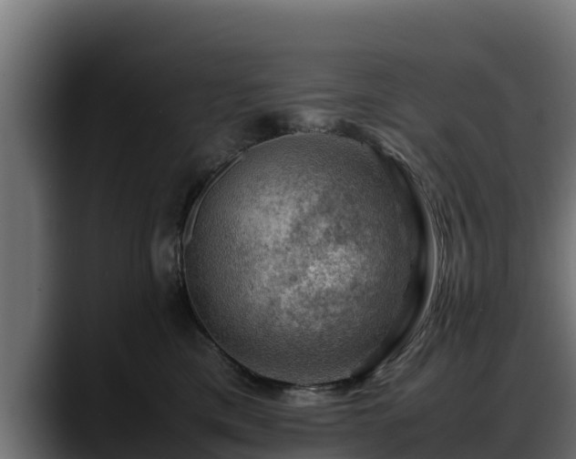 X0000088370425200705291331