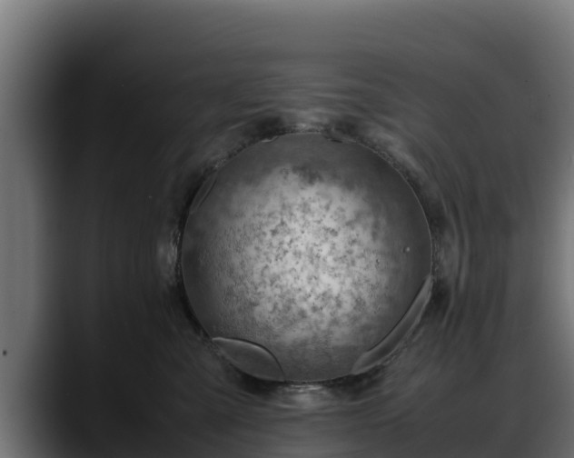 X0000088370427200705291331