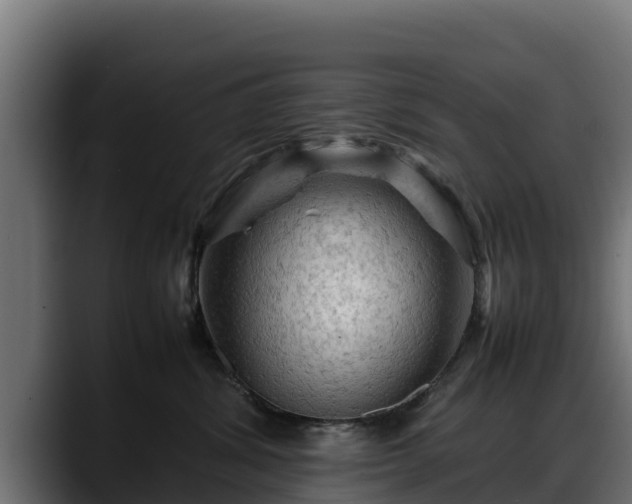 X0000088370428200705291331