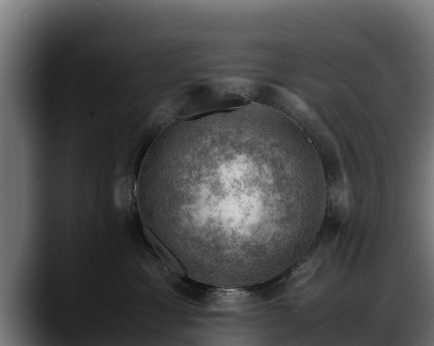 X0000088370429200705291331