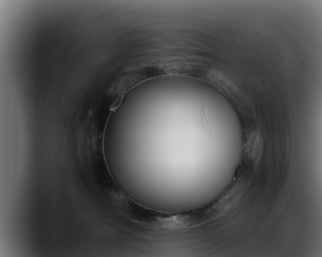 X0000088370430200705291331