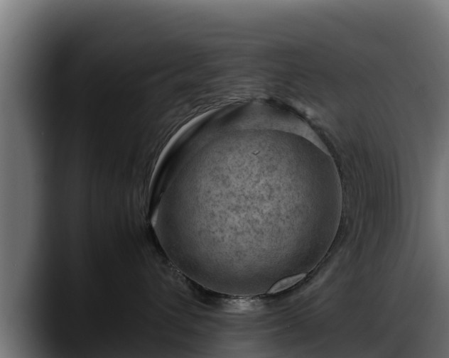 X0000088370432200705291331