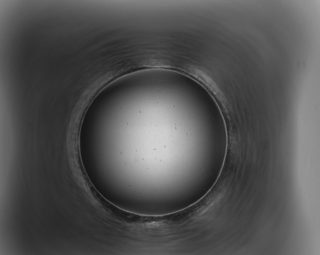X0000088370433200705291331