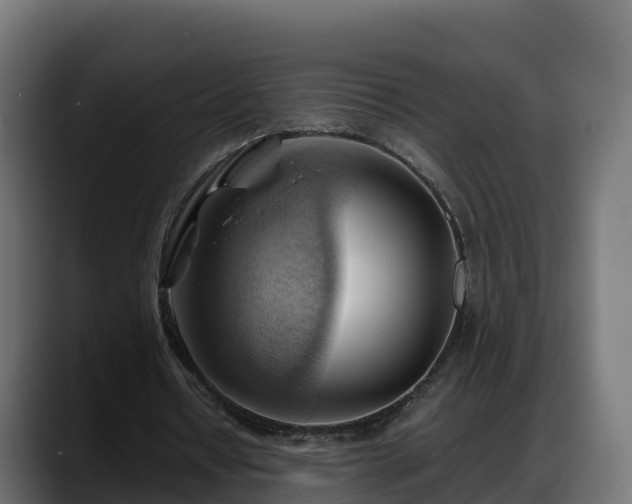 X0000088370434200705291331