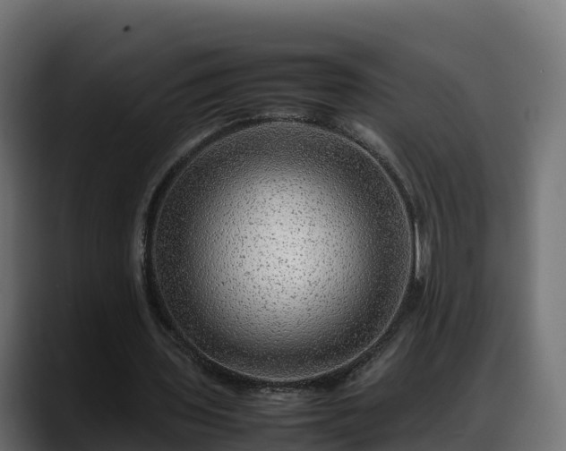 X0000088370435200705291331