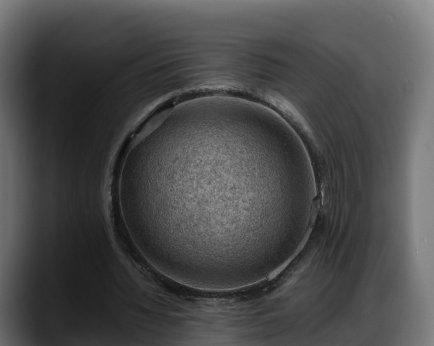 X0000088370436200705291331