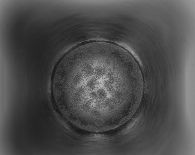 X0000088370437200705291331