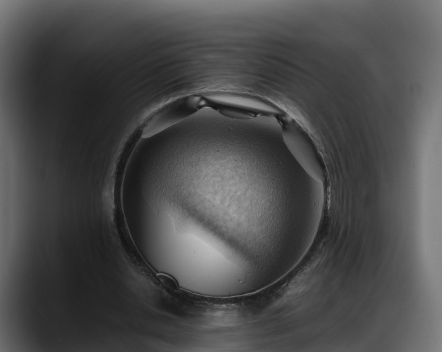 X0000088370438200705291331