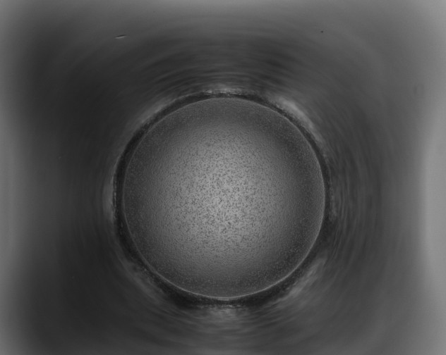 X0000088370439200705291331
