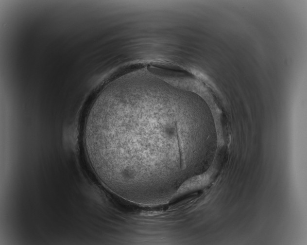 X0000088370440200705291331