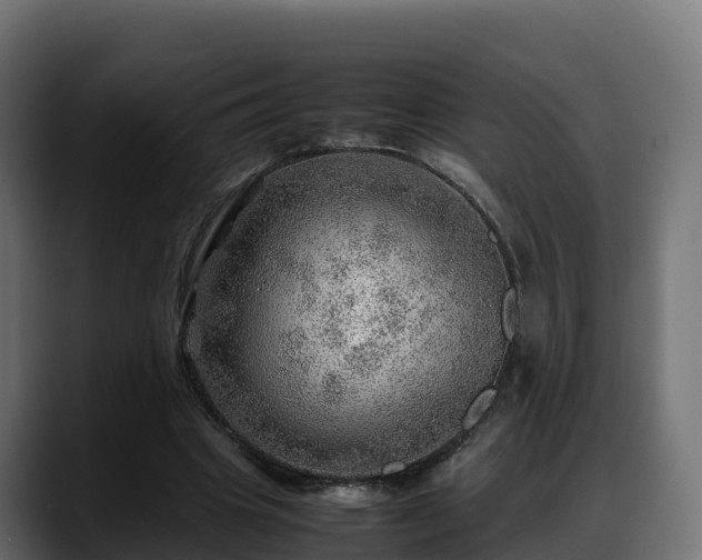 X0000088370441200705291331