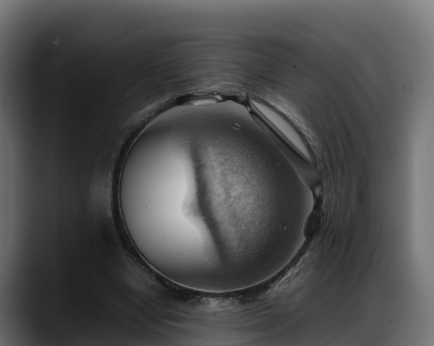X0000088370442200705291331