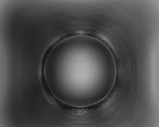 X0000088370443200705291331