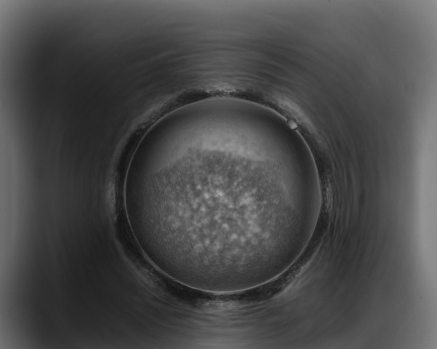 X0000088370444200705291331