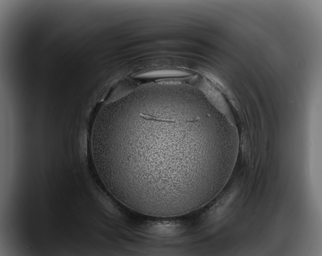 X0000088370445200705291331