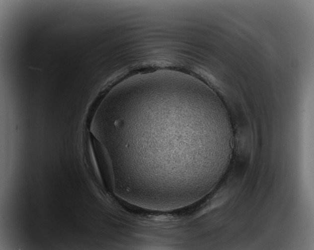 X0000088370446200705291331