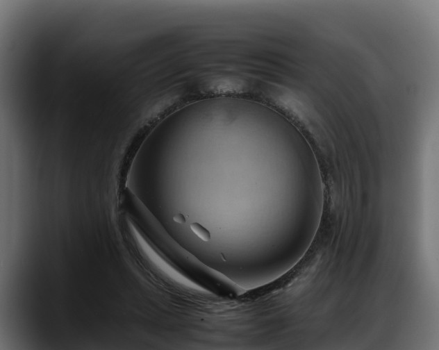 X0000088370447200705291331