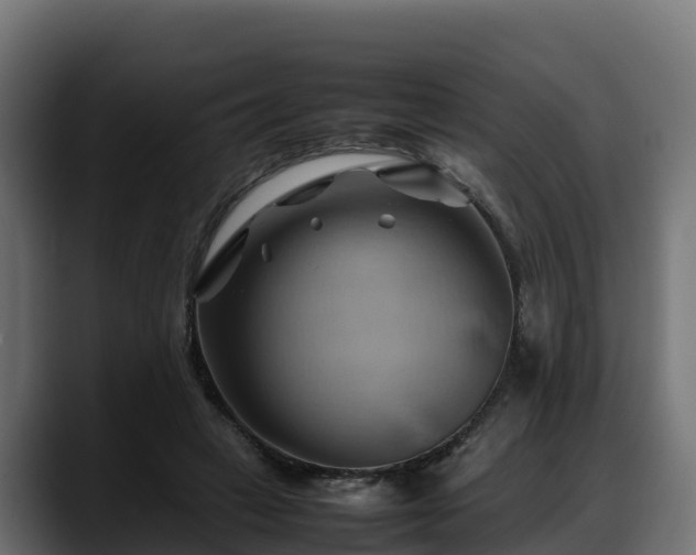 X0000088370449200705291331