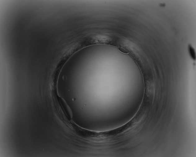 X0000088370451200705291331