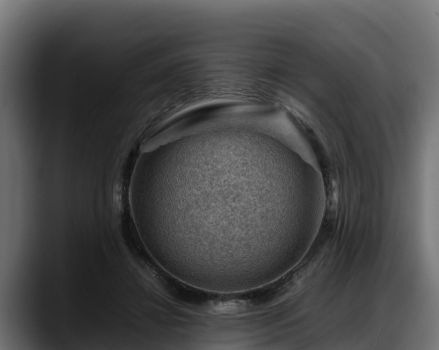 X0000088370452200705291331