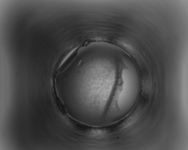 X0000088370453200705291331