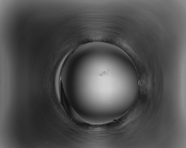 X0000088370454200705291331