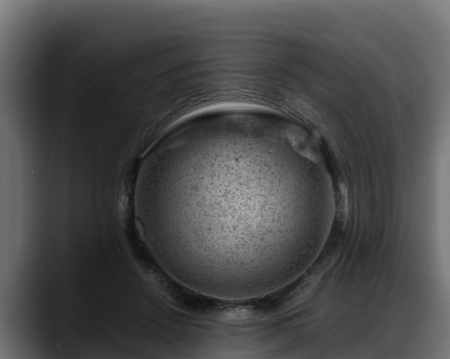 X0000088370456200705291331