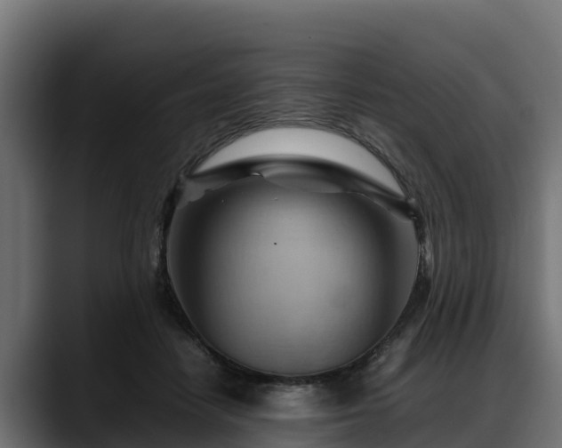 X0000088370458200705291331