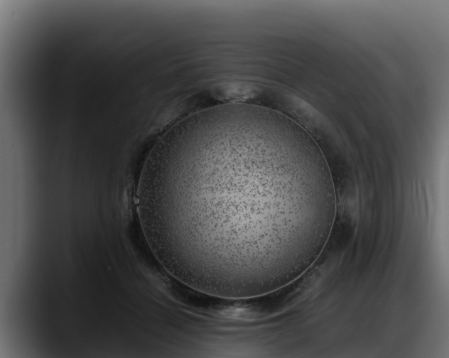 X0000088370460200705291331