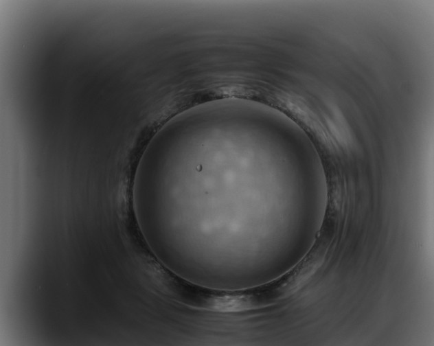 X0000088370461200705291331