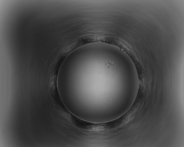 X0000088370462200705291331
