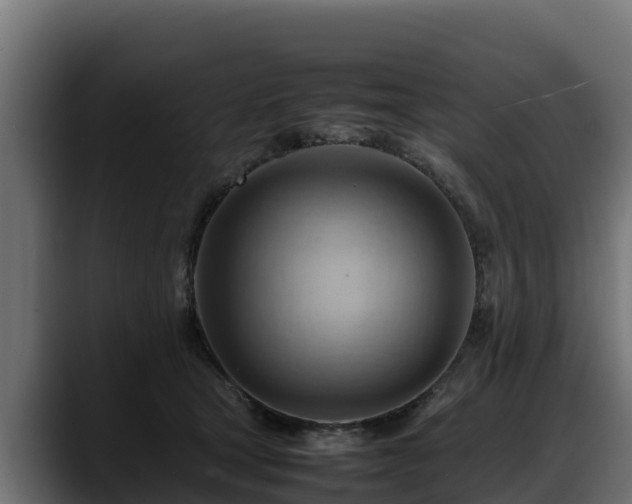 X0000088370465200705291331