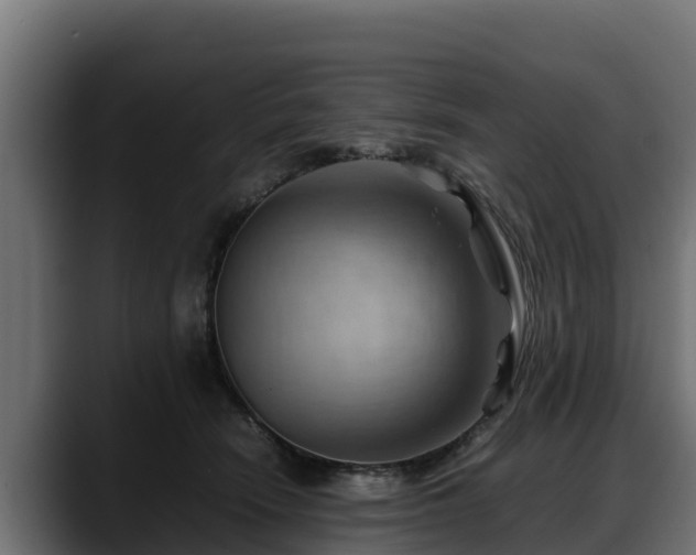 X0000088370466200705291331