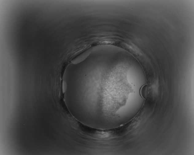 X0000088370469200705291331