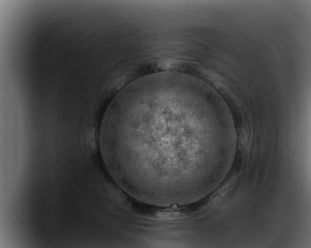 X0000088370470200705291331