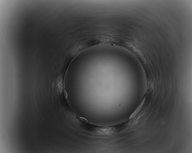 X0000088370479200705291331