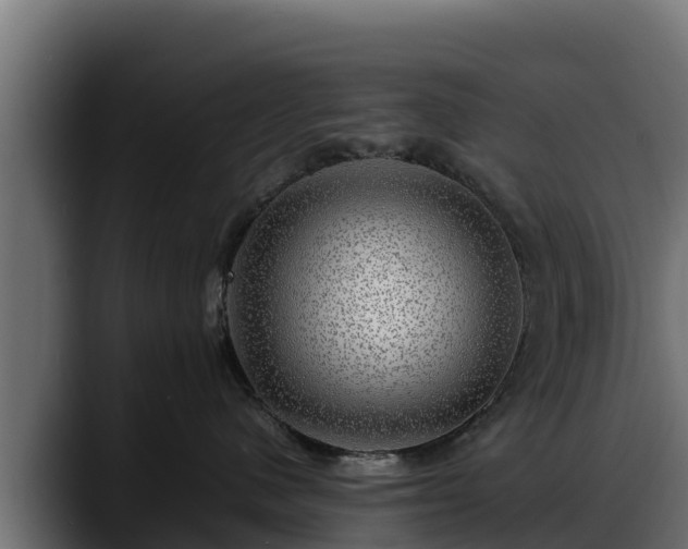 X0000088370480200705291331