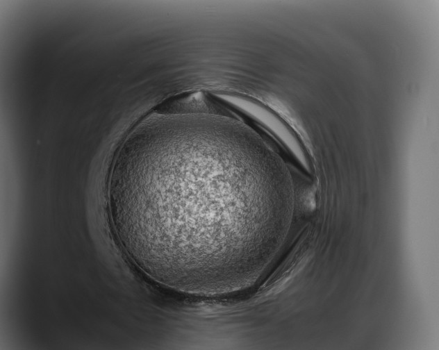 X0000088370481200705291331