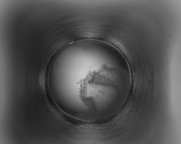 X0000088370482200705291331