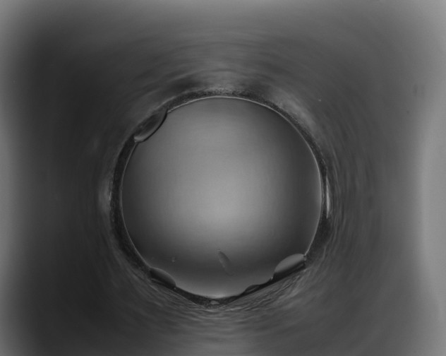 X0000088370483200705291331