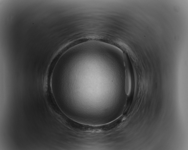 X0000088370484200705291331