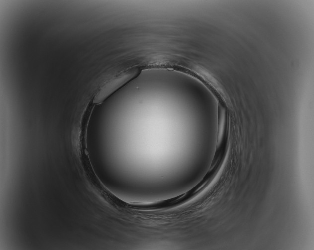 X0000088370485200705291331