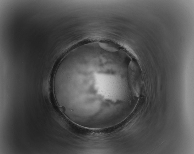 X0000088370487200705291330