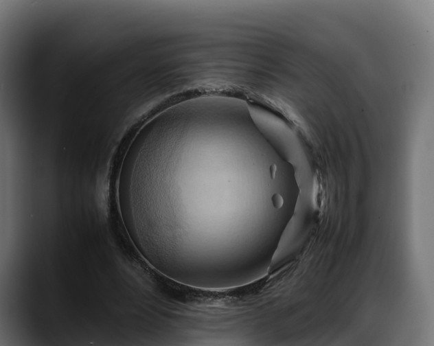 X0000088370488200705291330