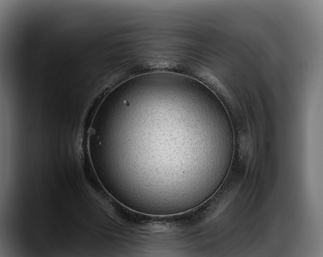 X0000088370490200705291330